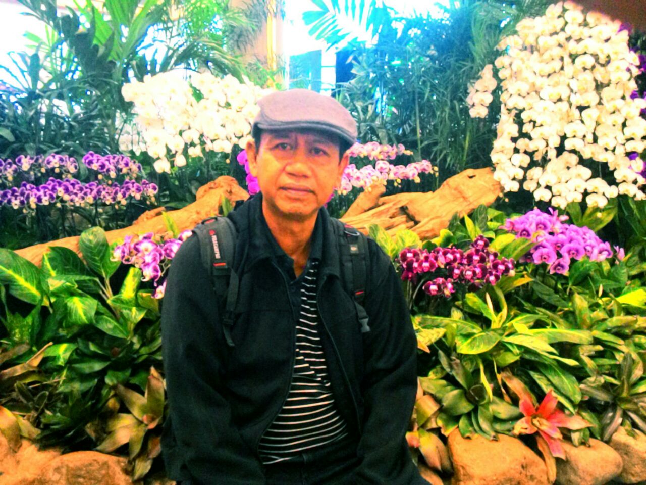 User profile picture